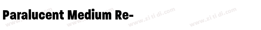 Paralucent Medium Re字体转换